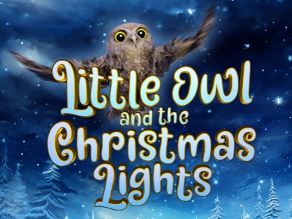 Little Owl and the Christmas Lights