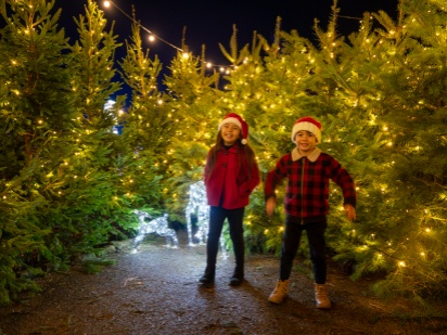 Christmas Events around Tunbridge Wells