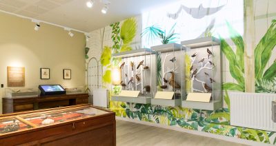 Animals and plants exhibition