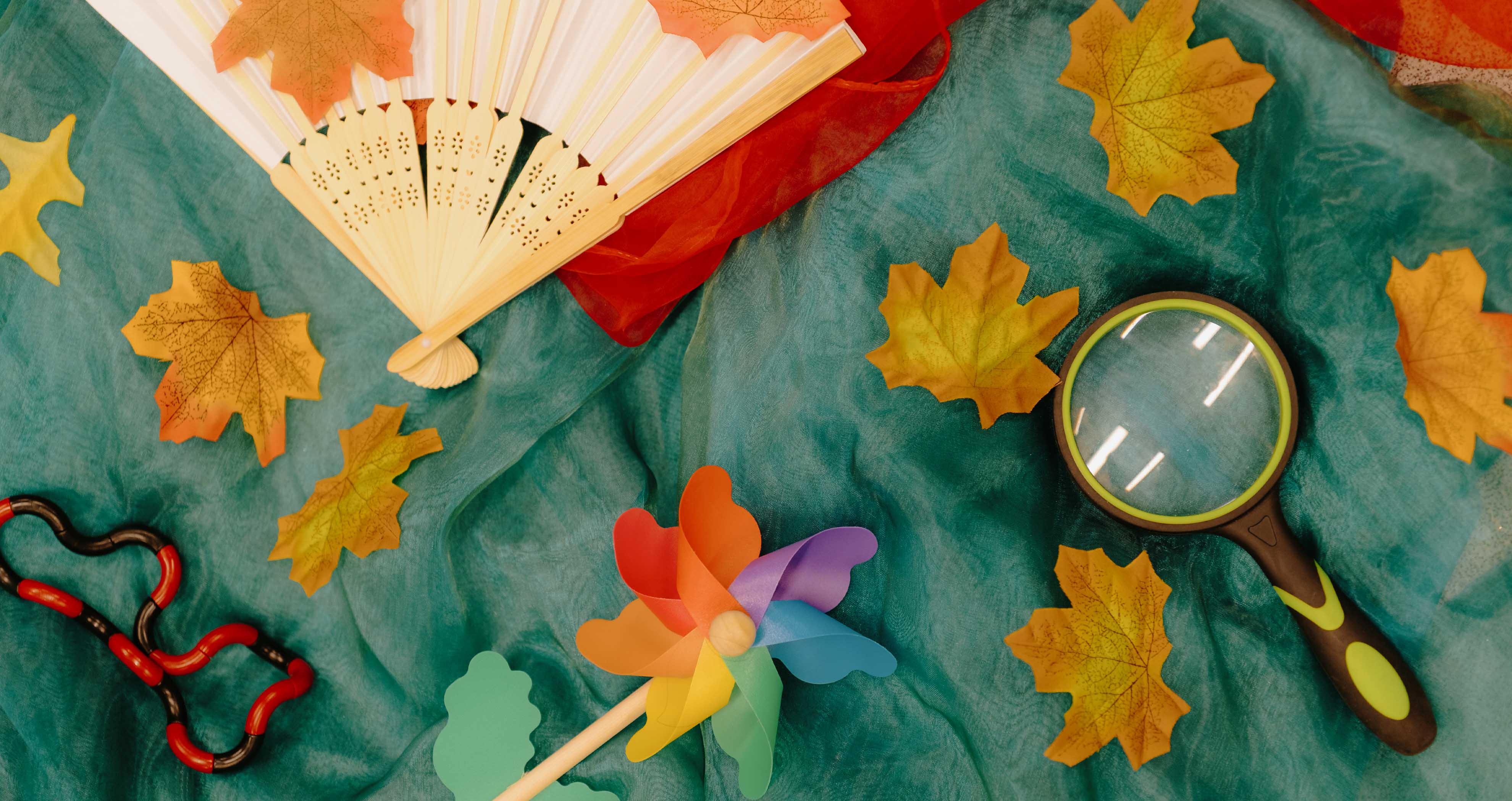 Leaves and magnifying glass