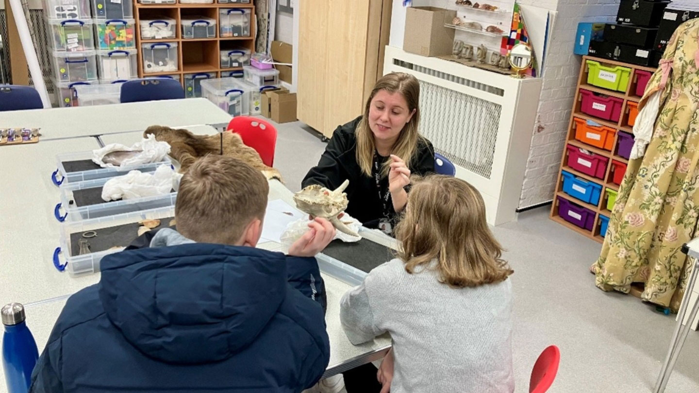 Examining an animal skull.