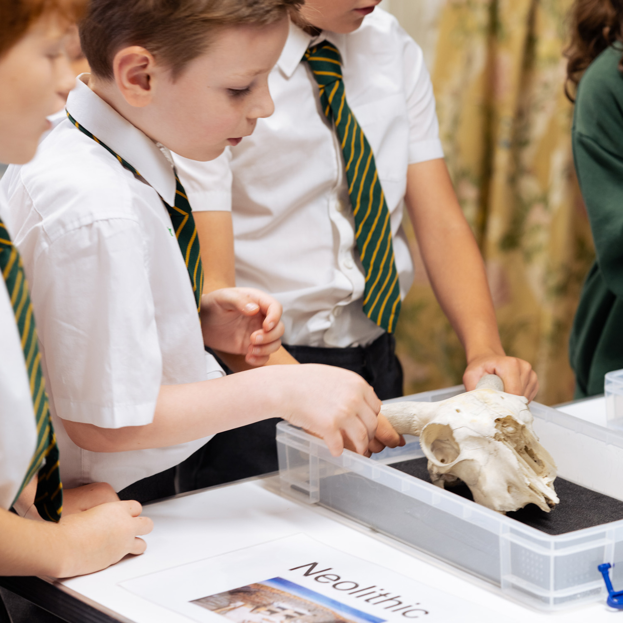 A7R09425 Students looking at a skull