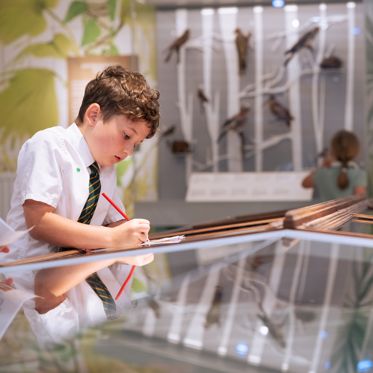 A7R09557 Boy writing in a book near to a range of exhibits