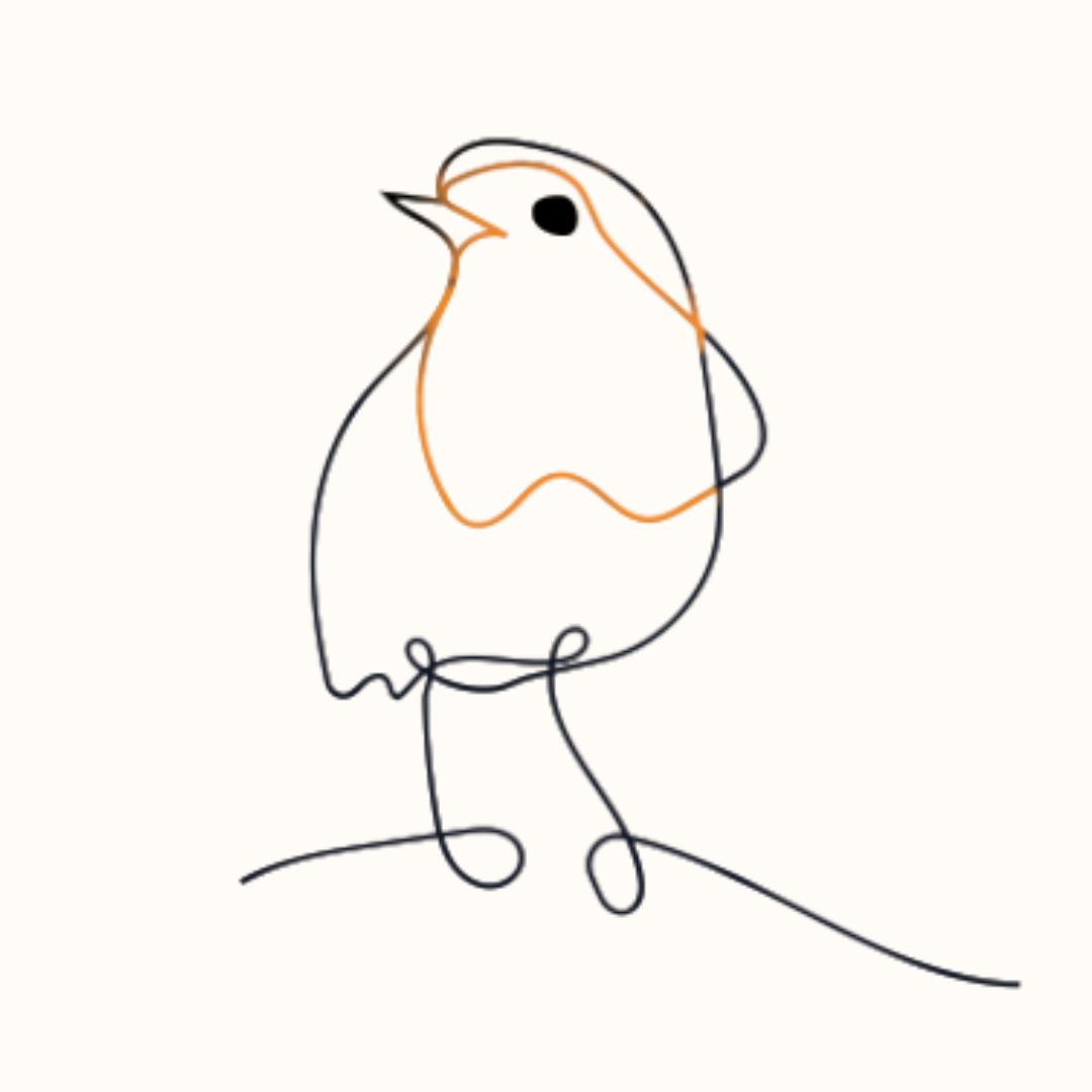 line drawing of a robin